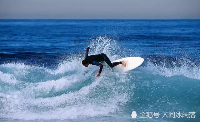 乌龟的龟甲腐烂了，要用手去抠掉他那个腐烂的地方吗？游戏画面