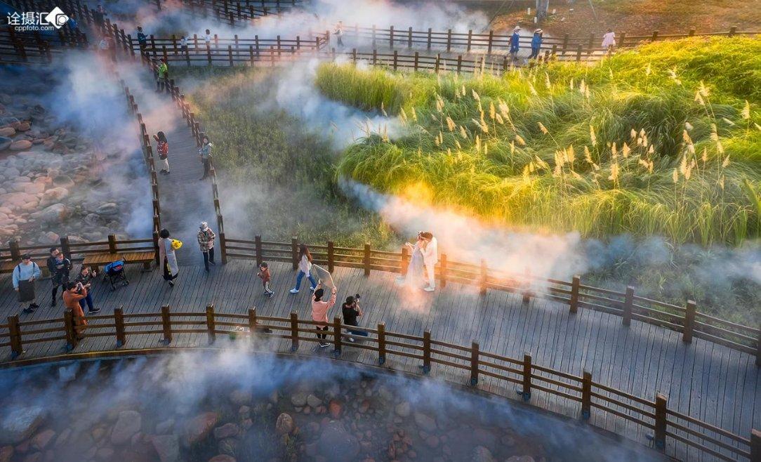 奔流新闻·兰州晨报宠粉不停歇，本周末邀120名影迷免费观影！